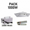 Pack HPS 1000W magnétique