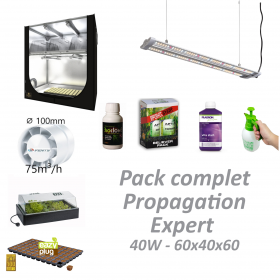 Pack Propagation Expert