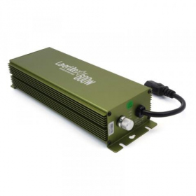 Lazerlite 600W - Pure Light