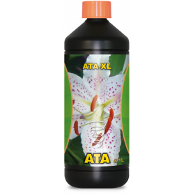 ATA ATA-XL 5l