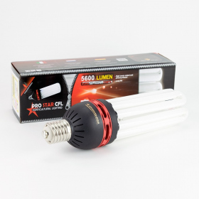 CFL Prostar 125w Bloei