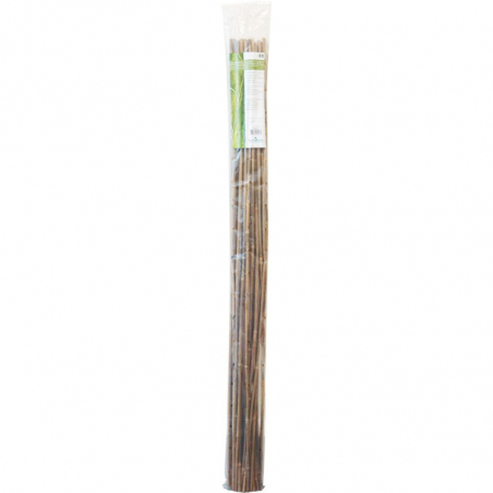 Bamboo 120 cm pack de 25 pc