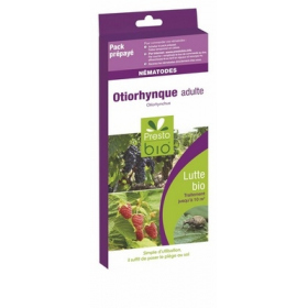 NEMATODES CONTRE L'OTIORHYNQUE ADULTE 10 M²
