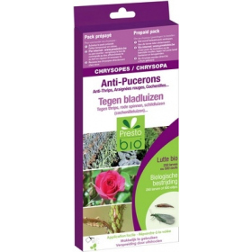 CHRYSOPES CONTRE PUCERONS, THRIPS, COCHENILLES, ACARIENS, .. pour 50 m²