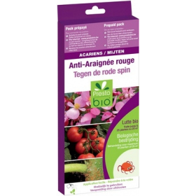 ACARIENS PHYTOSEIULUS CONTRE ARAIGNEE ROUGE 25 à 100 m² 500 adultes