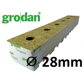 Grodan StartBlock ⌀ 28mm (x12pcs)