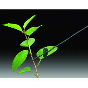 Secret Jardin Hold-It x 4pc