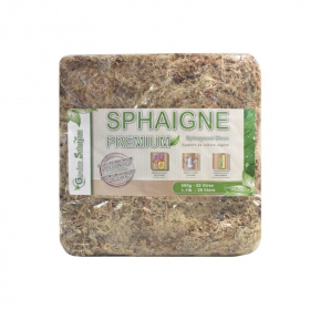 Sphaigne du Chili 1 Kg Qualité Premium (Garden Solution)