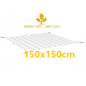 Secret Jardin WebIT 150 150x150cm