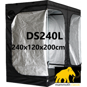 Mammoth Classic DS240L