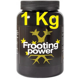 Frooting power 1 Kg BAC