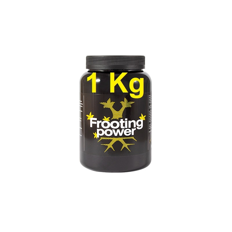 Frooting power 1 Kg BAC