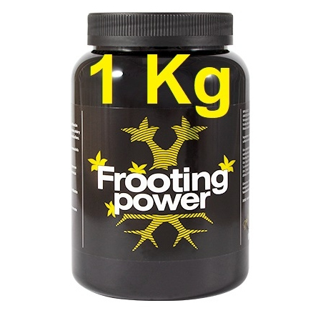 Frooting power 1 Kg BAC