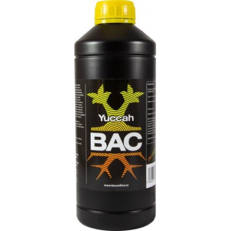 Yuccah 1 Lt BAC