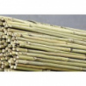 Bamboo 150 cm pack de 25 pc