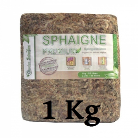 Sphaigne du Chili 1 Kg Qualité Premium (Garden Solution)