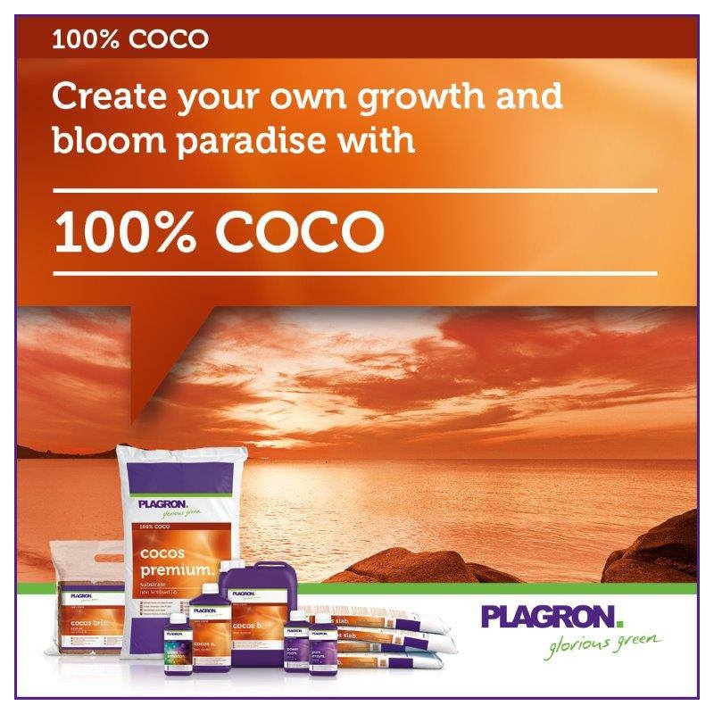 Plagron Coco A+B 10 ltr