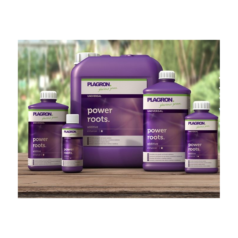 Plagron Power Roots 1ltr