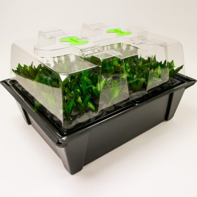 Propagator Xstream 80 site