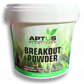 Breakout Powder 1Kg - Aptus
