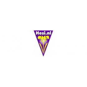 Hesi